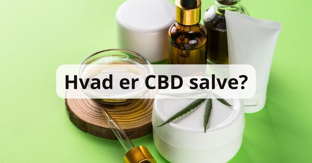 Hvad er CBD salve?